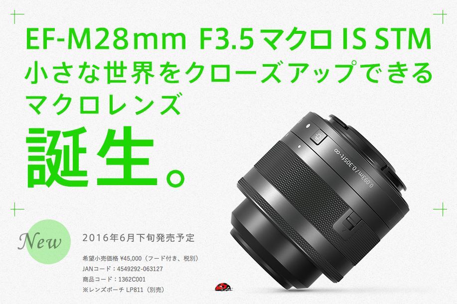 Canon - Canon EF-M28mmF3.5 マクロレンズの+bonfanti.com.br