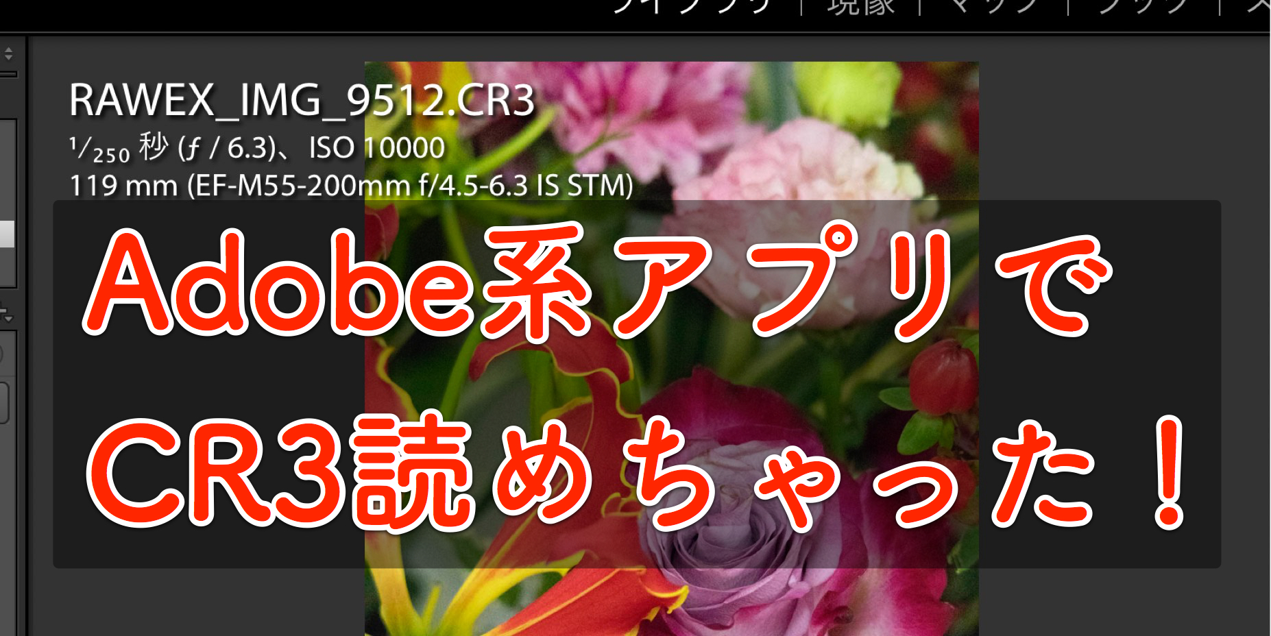 どうしてもadobe系でeos Kiss M のraw現像をしたいときの裏技を紹介しますね 4月11日現在