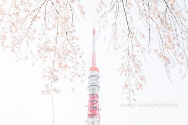 I LIKE TOKYO TOWER 東京タワーが好きだ