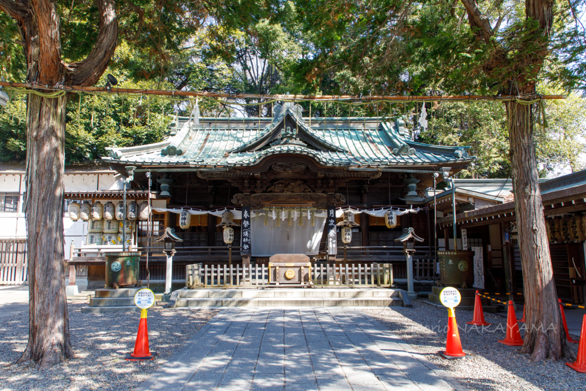 Thumbnail of post image 107