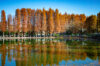 Thumbnail of related posts 025