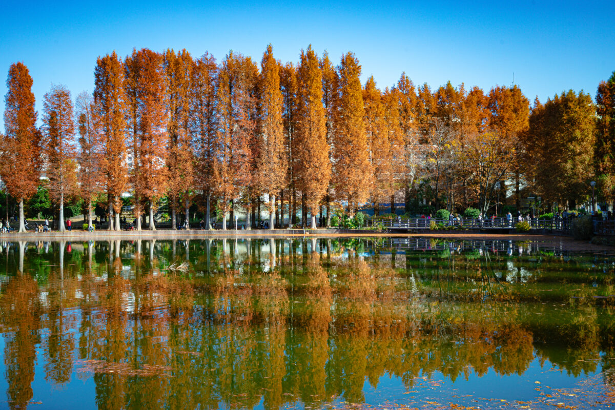 Thumbnail of post image 180