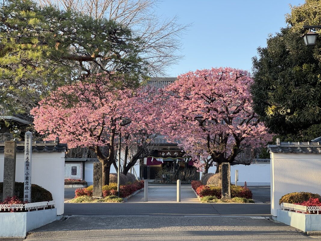 Thumbnail of post image 052