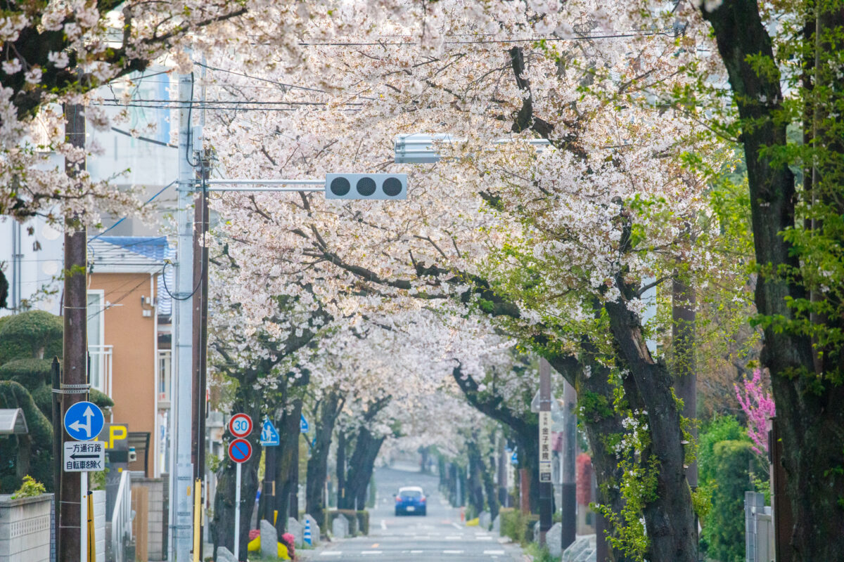 Thumbnail of post image 058